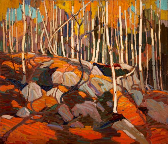 Tom Thomson (Canadian 1877 – 1917) The Birch Grove, Autumn, 1915–16, oil on canvas. Art Gallery of Hamilton